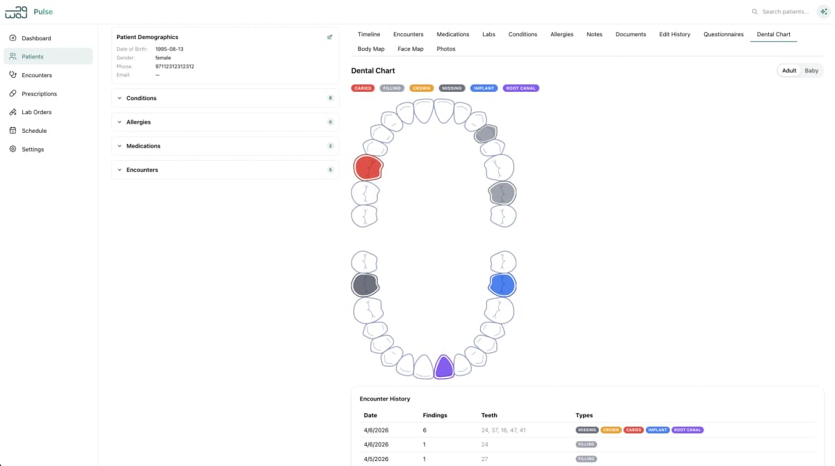 Dental Charting